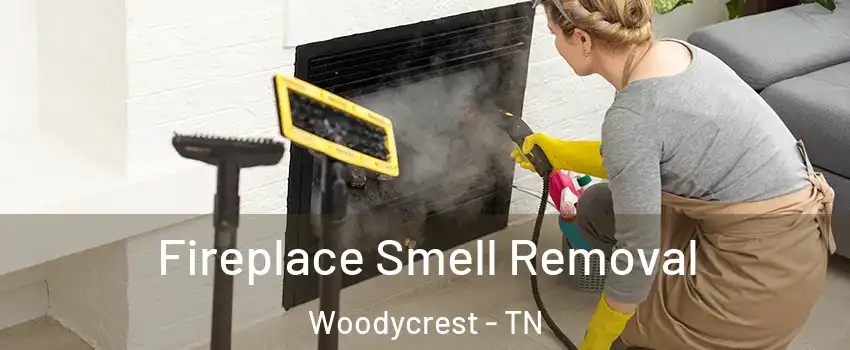 Fireplace Smell Removal Woodycrest - TN