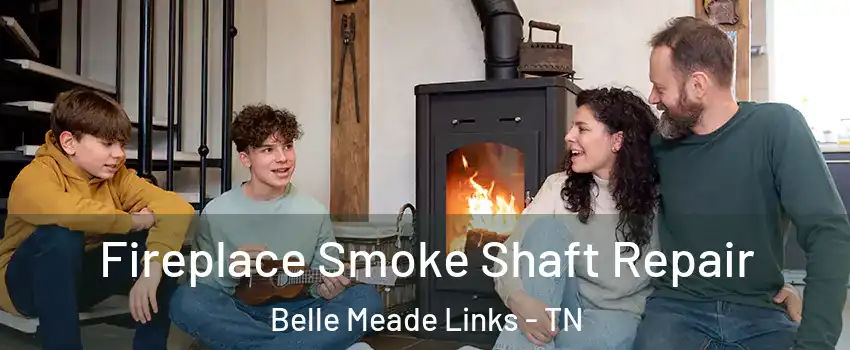 Fireplace Smoke Shaft Repair Belle Meade Links - TN