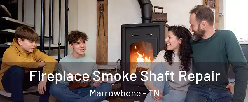 Fireplace Smoke Shaft Repair Marrowbone - TN