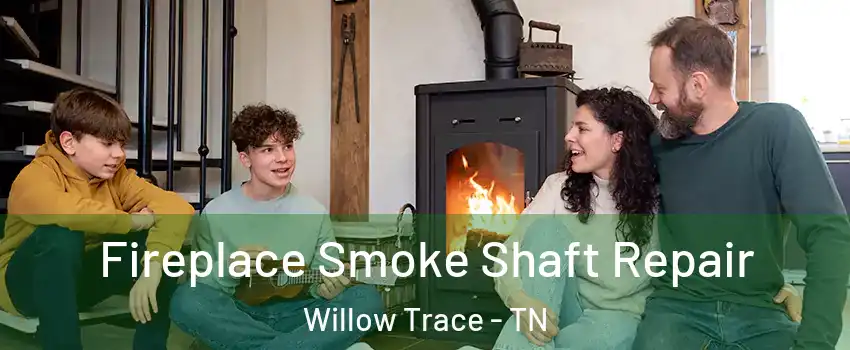 Fireplace Smoke Shaft Repair Willow Trace - TN