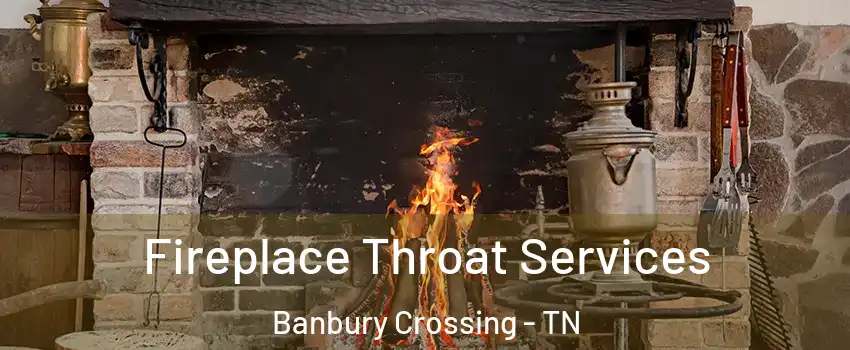 Fireplace Throat Services Banbury Crossing - TN