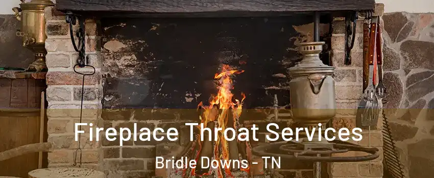 Fireplace Throat Services Bridle Downs - TN