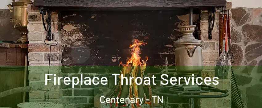 Fireplace Throat Services Centenary - TN