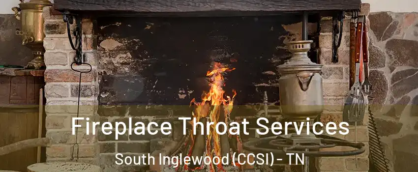 Fireplace Throat Services South Inglewood (CCSI) - TN