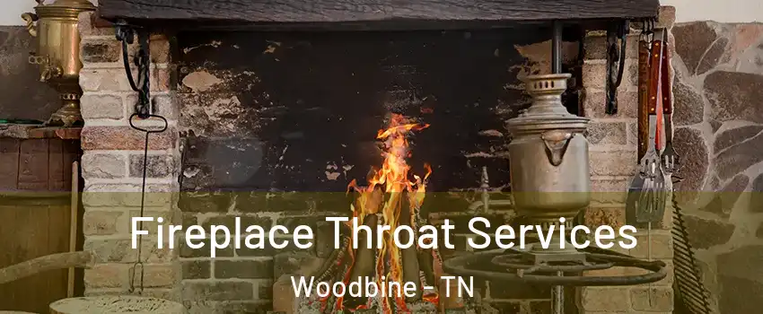 Fireplace Throat Services Woodbine - TN