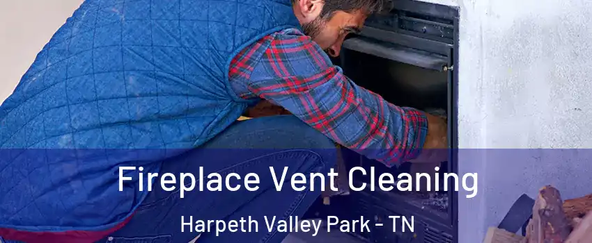 Fireplace Vent Cleaning Harpeth Valley Park - TN