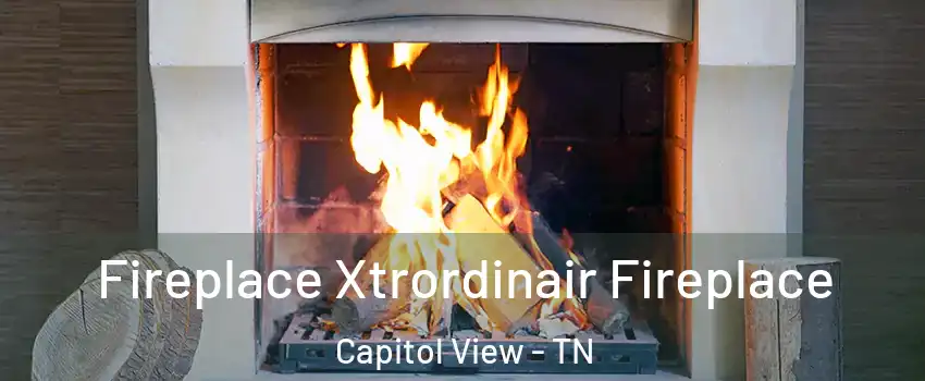 Fireplace Xtrordinair Fireplace Capitol View - TN