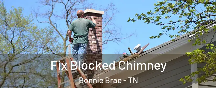 Fix Blocked Chimney Bonnie Brae - TN