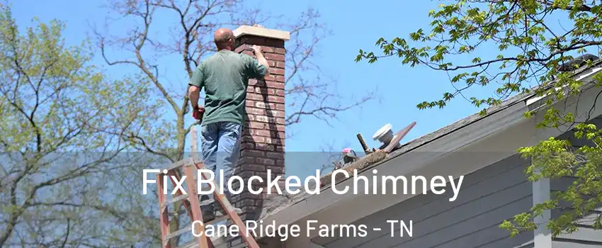 Fix Blocked Chimney Cane Ridge Farms - TN