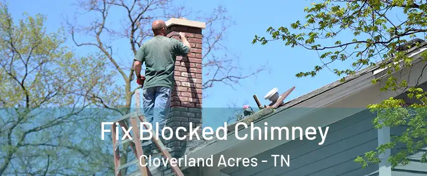 Fix Blocked Chimney Cloverland Acres - TN