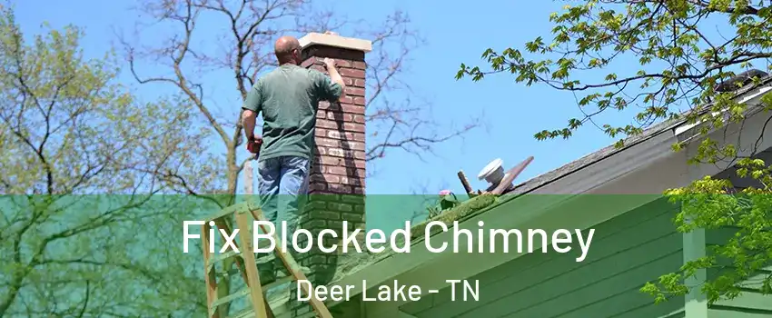 Fix Blocked Chimney Deer Lake - TN