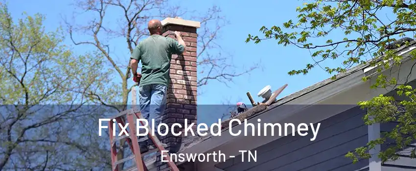 Fix Blocked Chimney Ensworth - TN