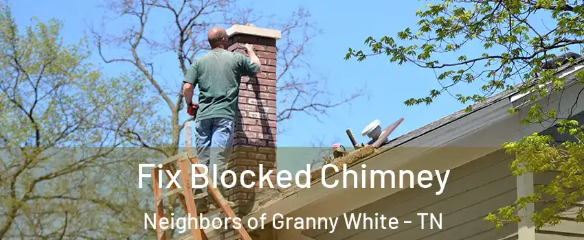 Fix Blocked Chimney Neighbors of Granny White - TN