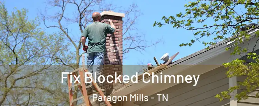 Fix Blocked Chimney Paragon Mills - TN