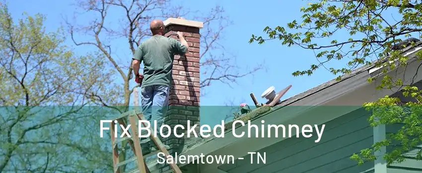 Fix Blocked Chimney Salemtown - TN