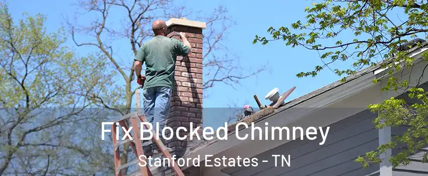 Fix Blocked Chimney Stanford Estates - TN