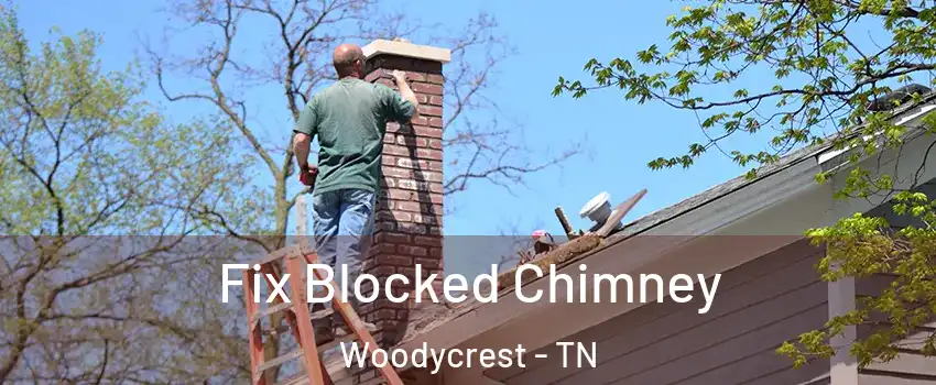 Fix Blocked Chimney Woodycrest - TN