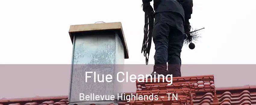 Flue Cleaning Bellevue Highlands - TN