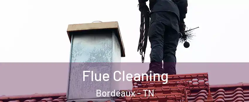 Flue Cleaning Bordeaux - TN
