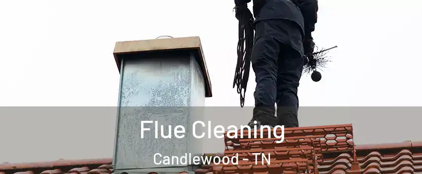 Flue Cleaning Candlewood - TN