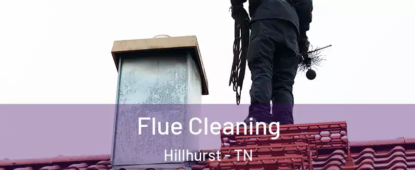 Flue Cleaning Hillhurst - TN