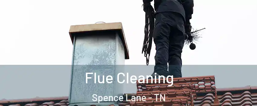 Flue Cleaning Spence Lane - TN