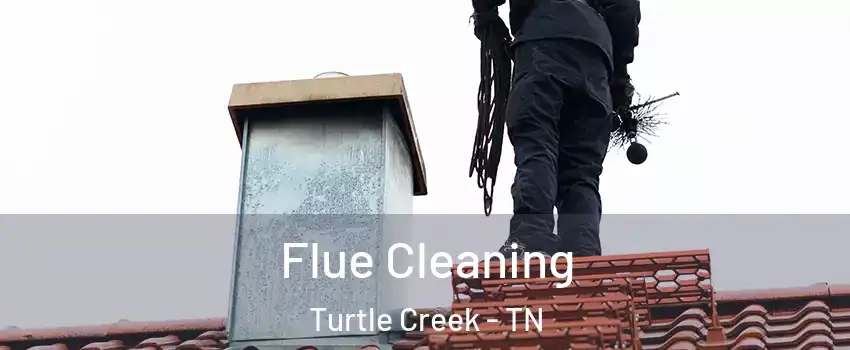 Flue Cleaning Turtle Creek - TN