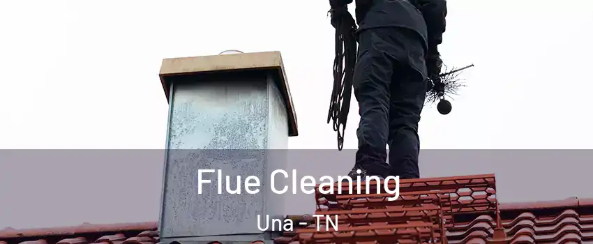 Flue Cleaning Una - TN