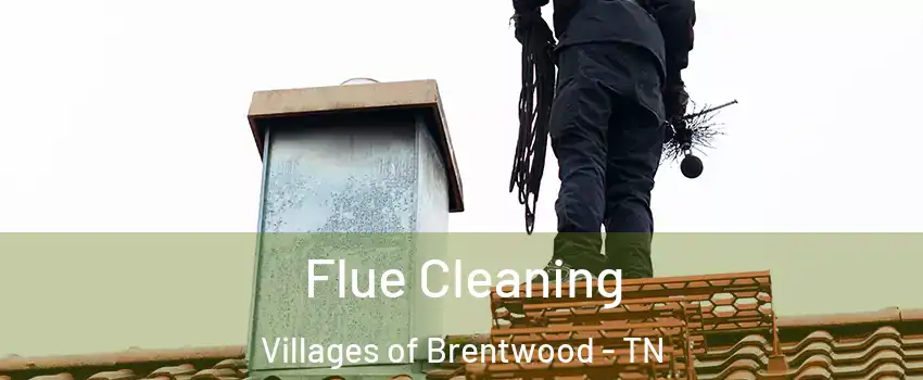 Flue Cleaning Villages of Brentwood - TN