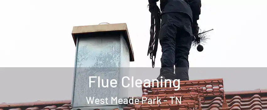 Flue Cleaning West Meade Park - TN