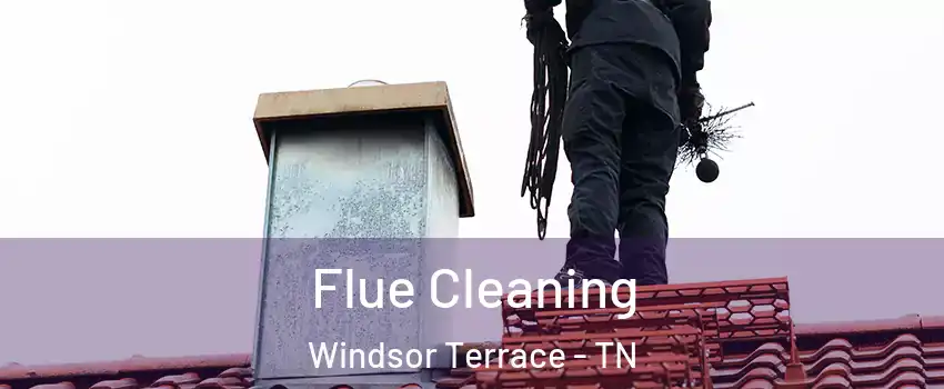 Flue Cleaning Windsor Terrace - TN