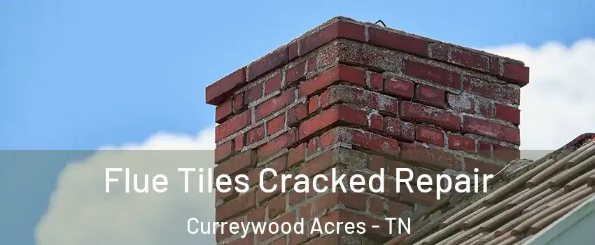 Flue Tiles Cracked Repair Curreywood Acres - TN