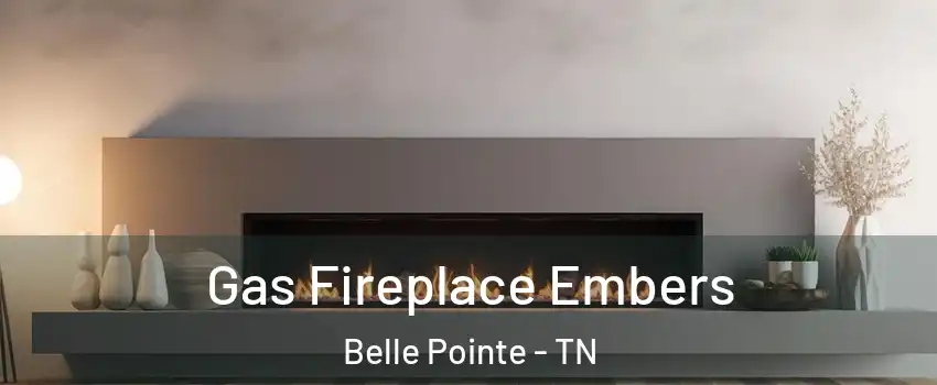 Gas Fireplace Embers Belle Pointe - TN