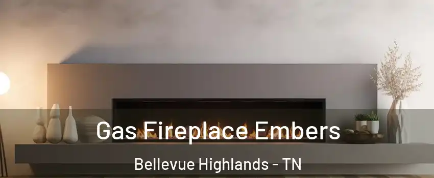 Gas Fireplace Embers Bellevue Highlands - TN