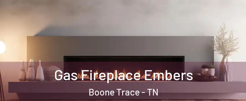 Gas Fireplace Embers Boone Trace - TN