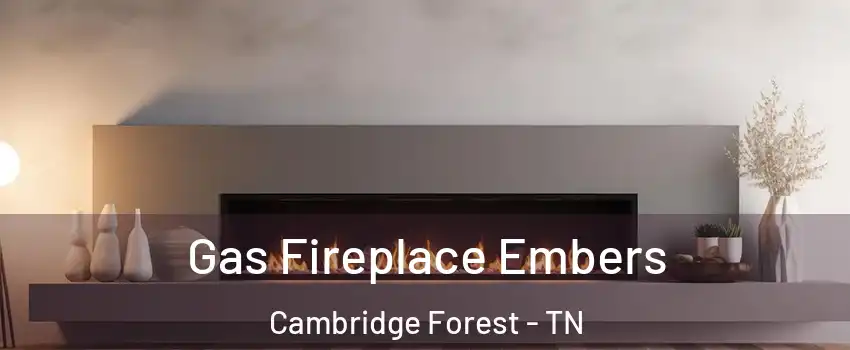 Gas Fireplace Embers Cambridge Forest - TN