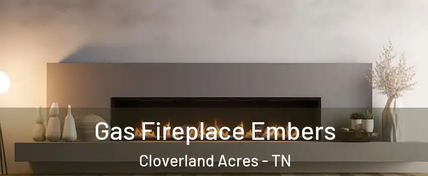 Gas Fireplace Embers Cloverland Acres - TN