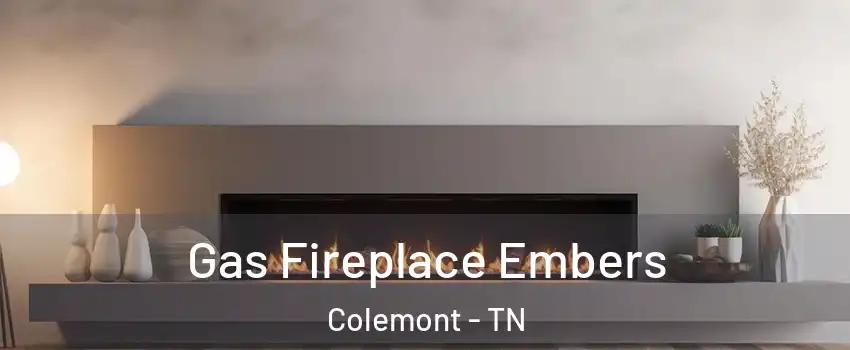 Gas Fireplace Embers Colemont - TN