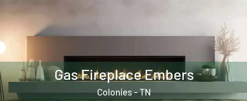 Gas Fireplace Embers Colonies - TN