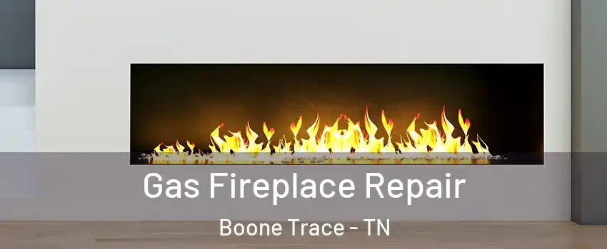 Gas Fireplace Repair Boone Trace - TN