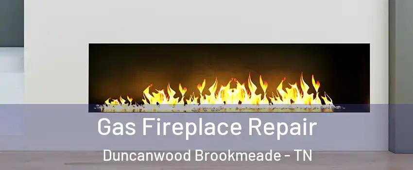 Gas Fireplace Repair Duncanwood Brookmeade - TN