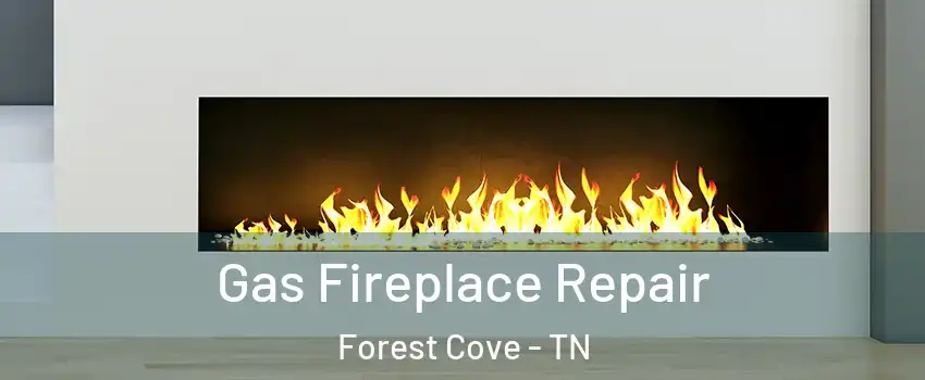 Gas Fireplace Repair Forest Cove - TN