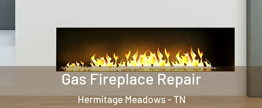 Gas Fireplace Repair Hermitage Meadows - TN