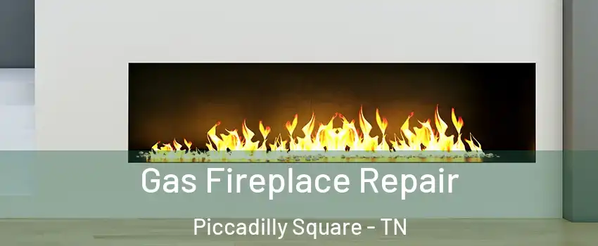Gas Fireplace Repair Piccadilly Square - TN