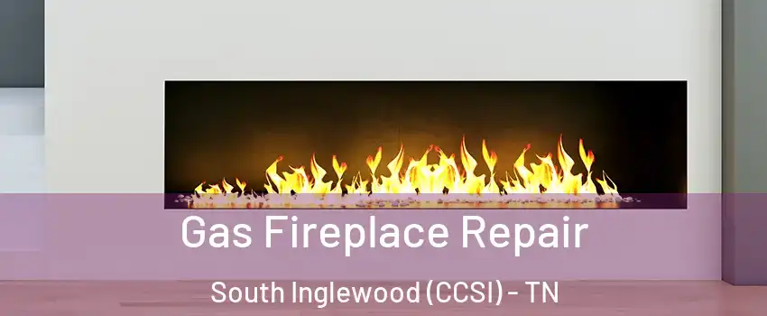 Gas Fireplace Repair South Inglewood (CCSI) - TN