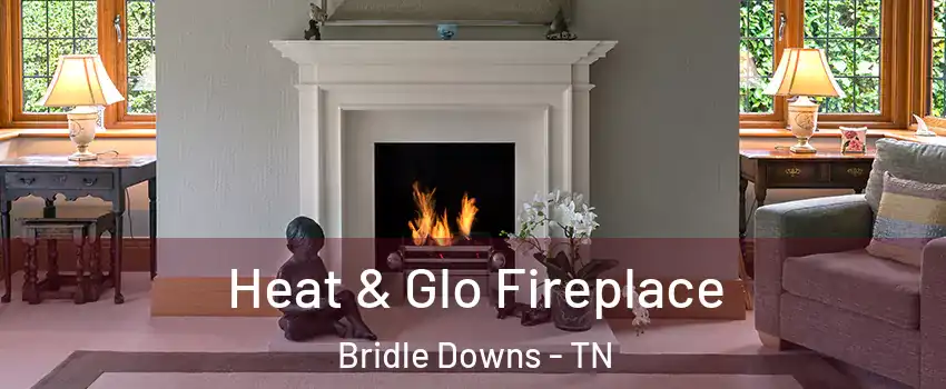 Heat & Glo Fireplace Bridle Downs - TN