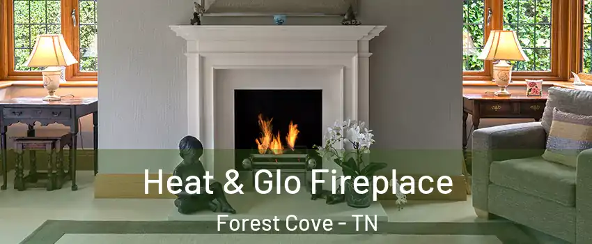Heat & Glo Fireplace Forest Cove - TN