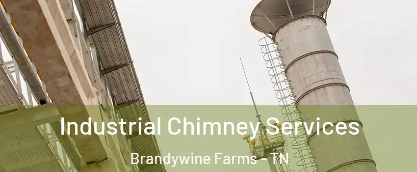 Industrial Chimney Services Brandywine Farms - TN