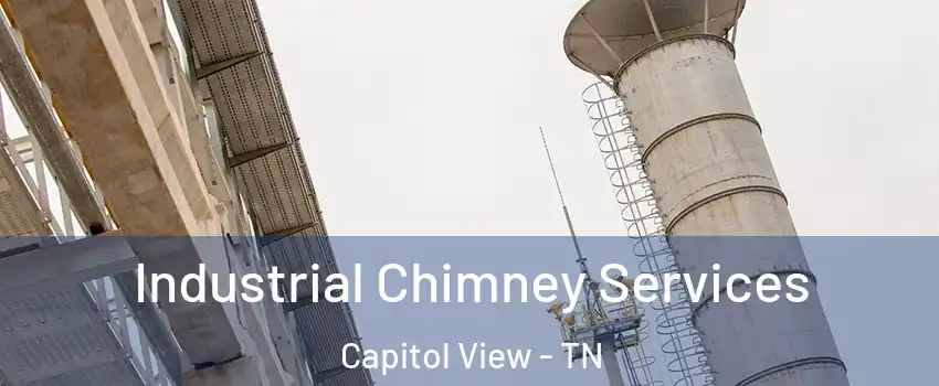 Industrial Chimney Services Capitol View - TN