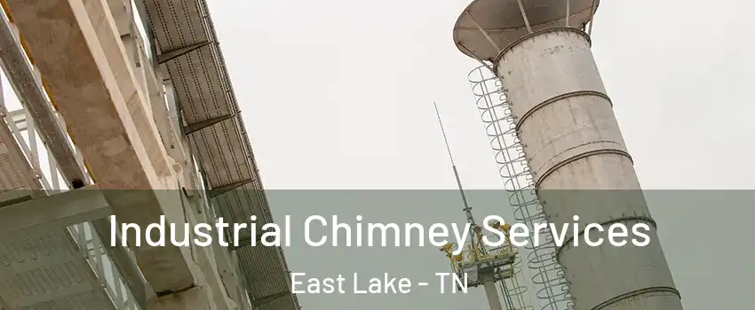 Industrial Chimney Services East Lake - TN